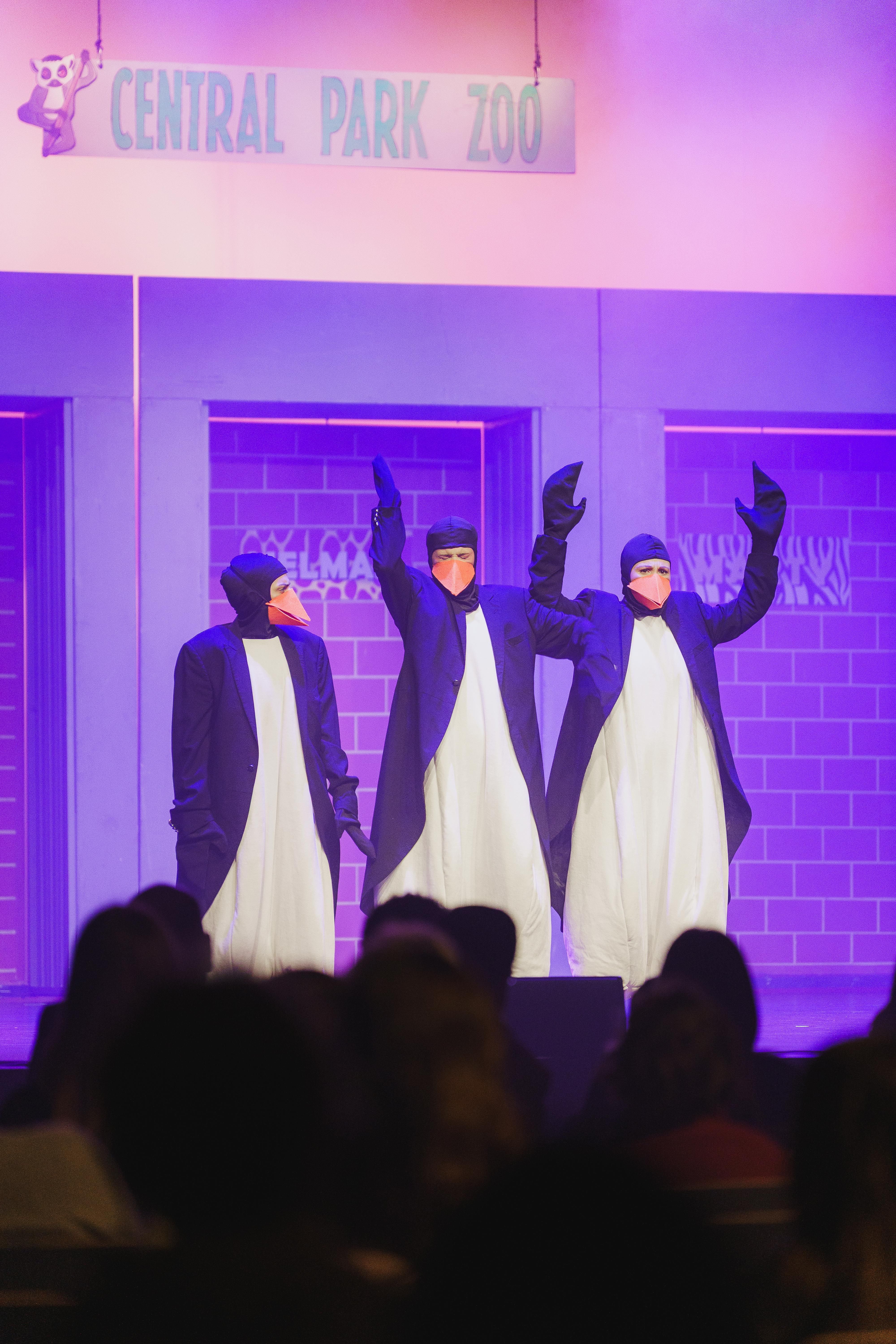 Madagáscar - Uma Aventura Musical - Foto 5