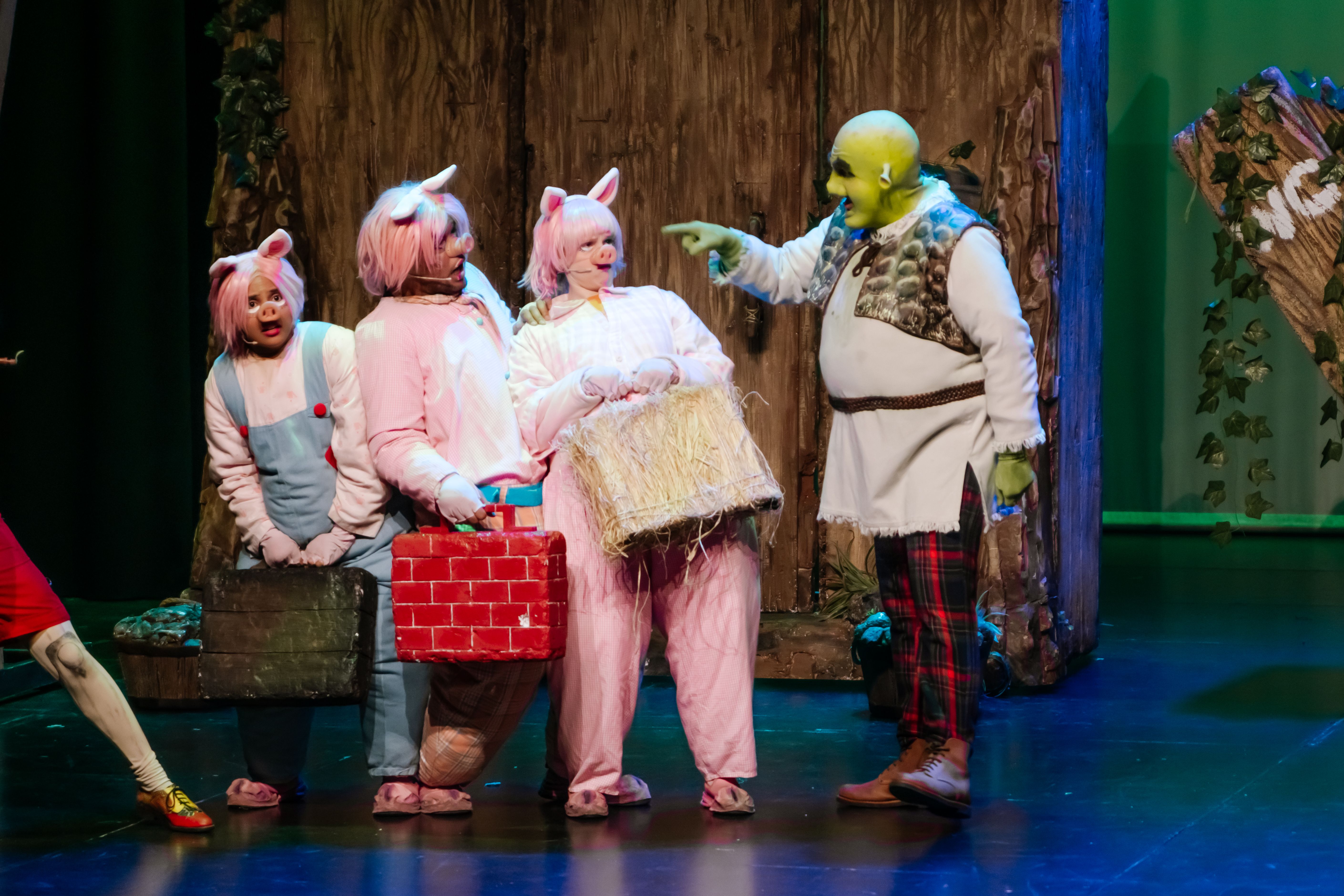 Shrek, o Musical - Foto 5