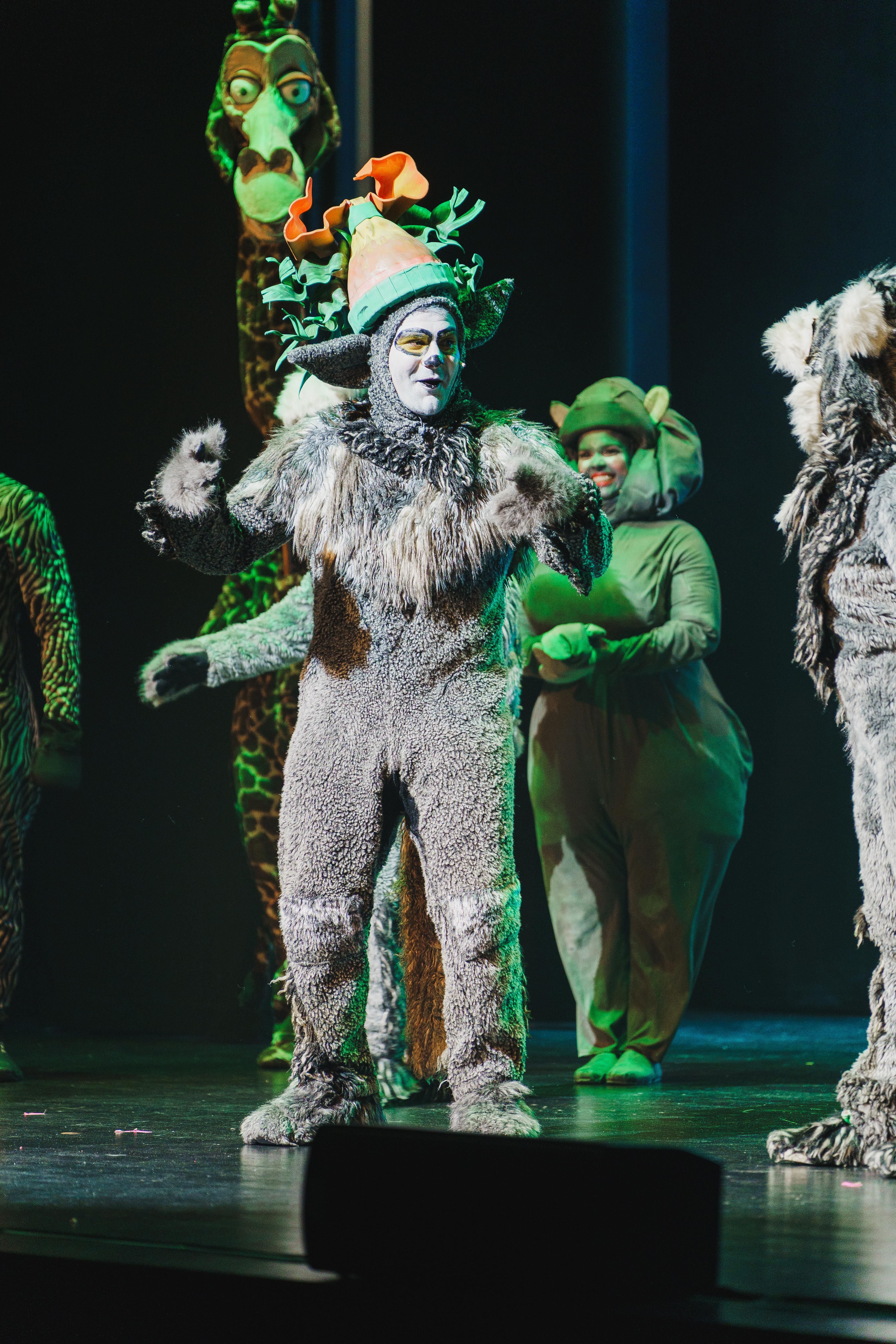 Madagáscar - Uma Aventura Musical - Foto 12