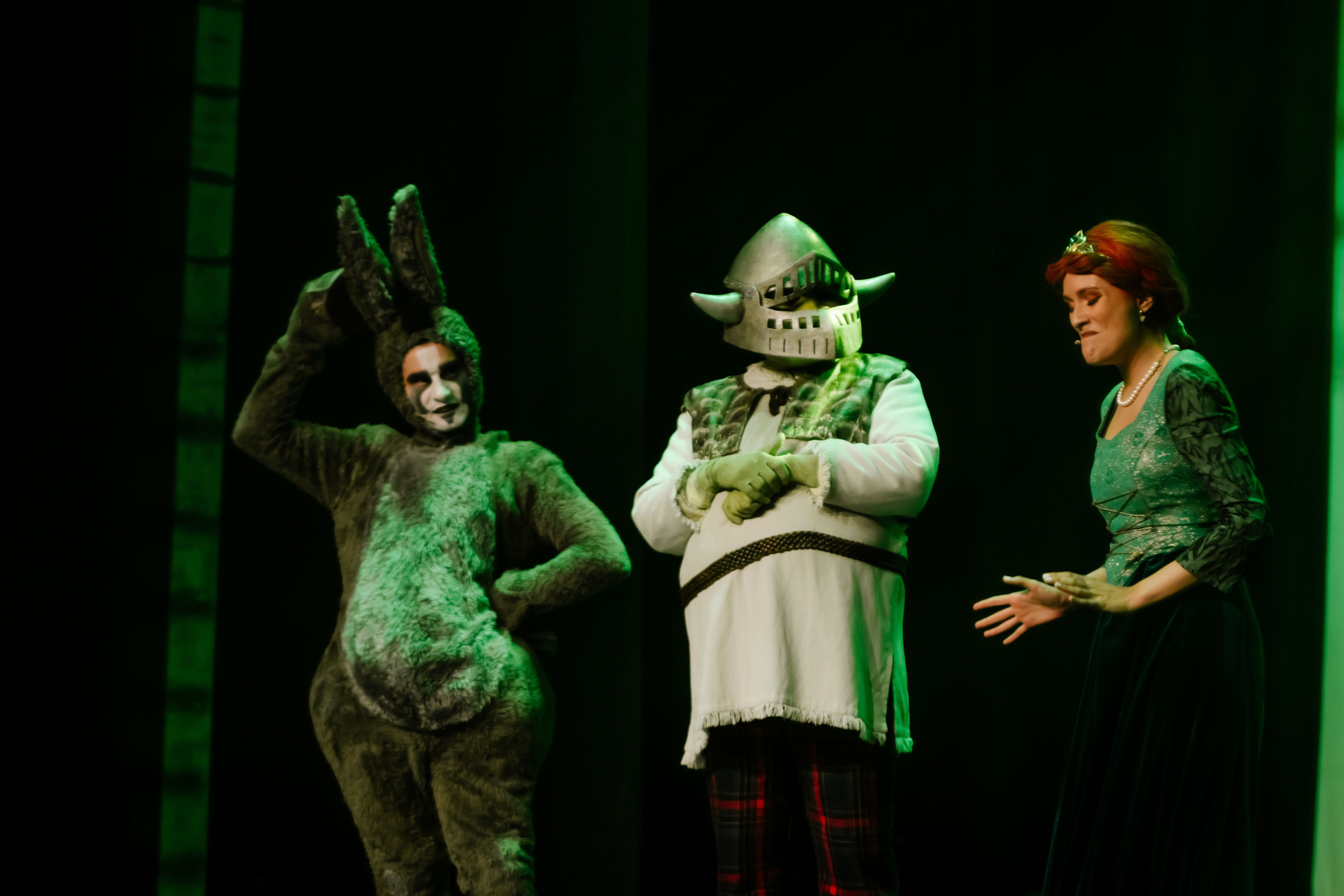 Shrek, o Musical - Foto 12