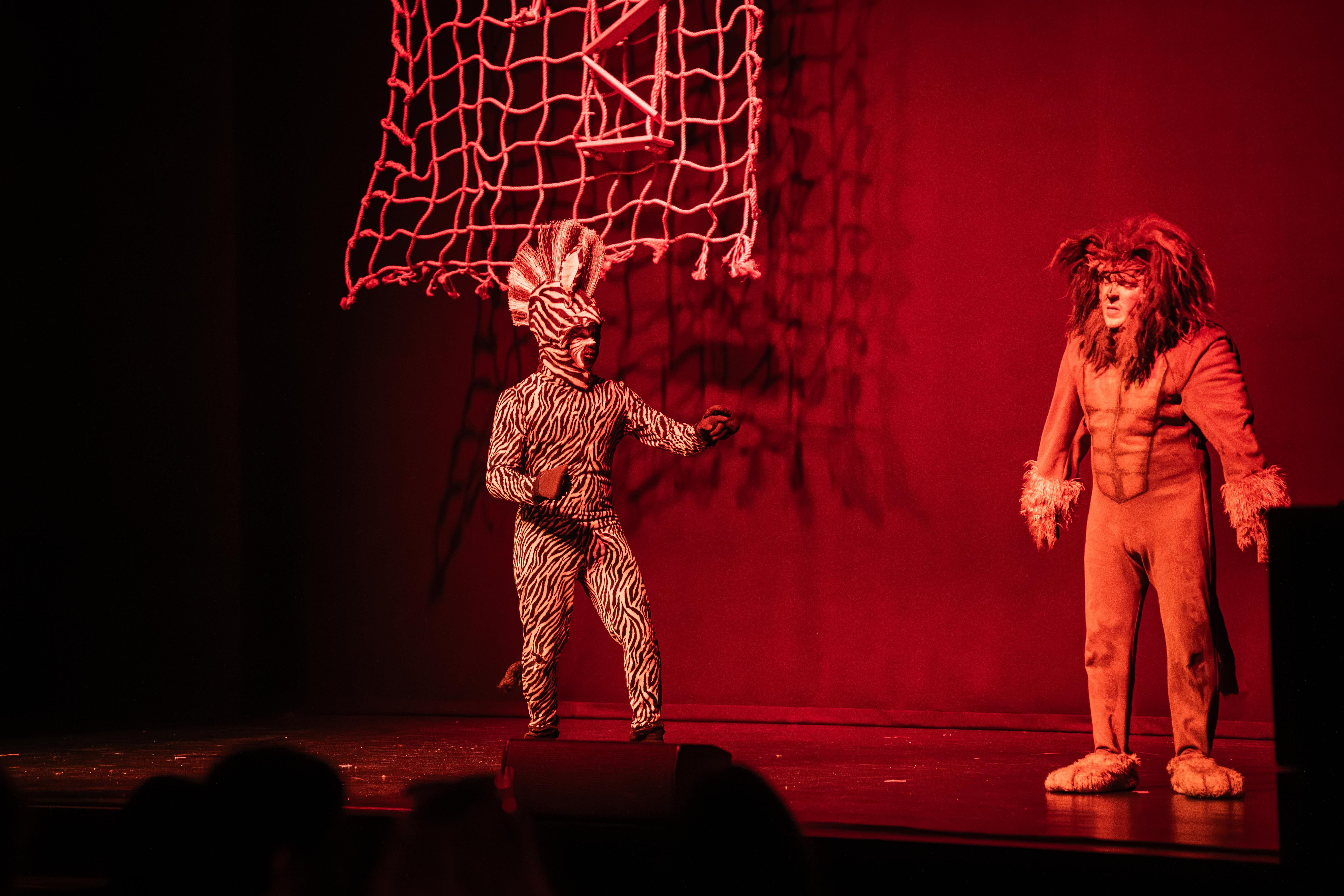 Madagáscar - Uma Aventura Musical - Foto 25