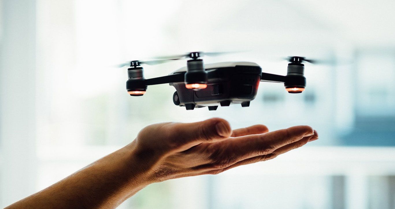 Darwinism for digital: disrupt or be disrupted