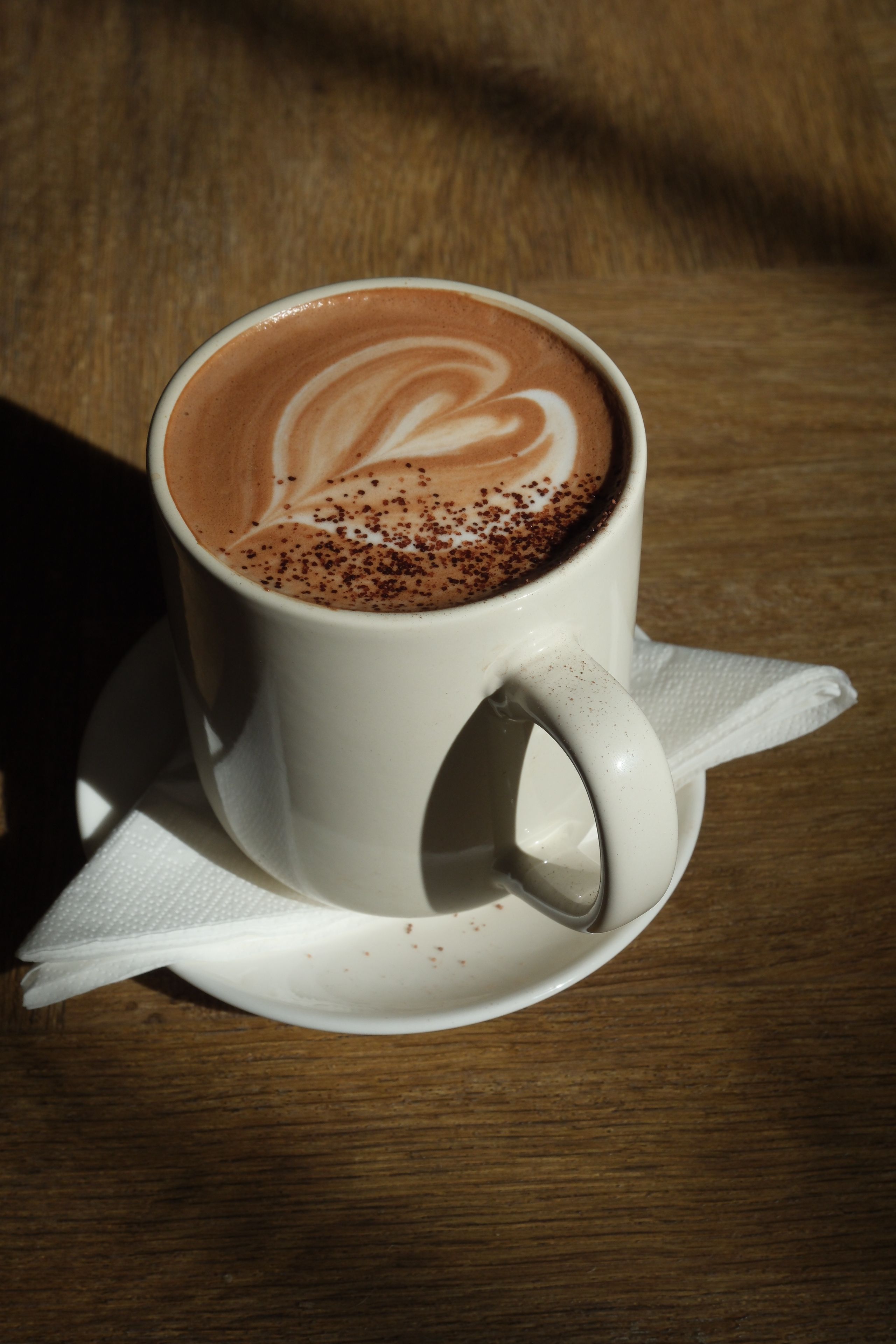 A mocha topped with cocoa in a cup