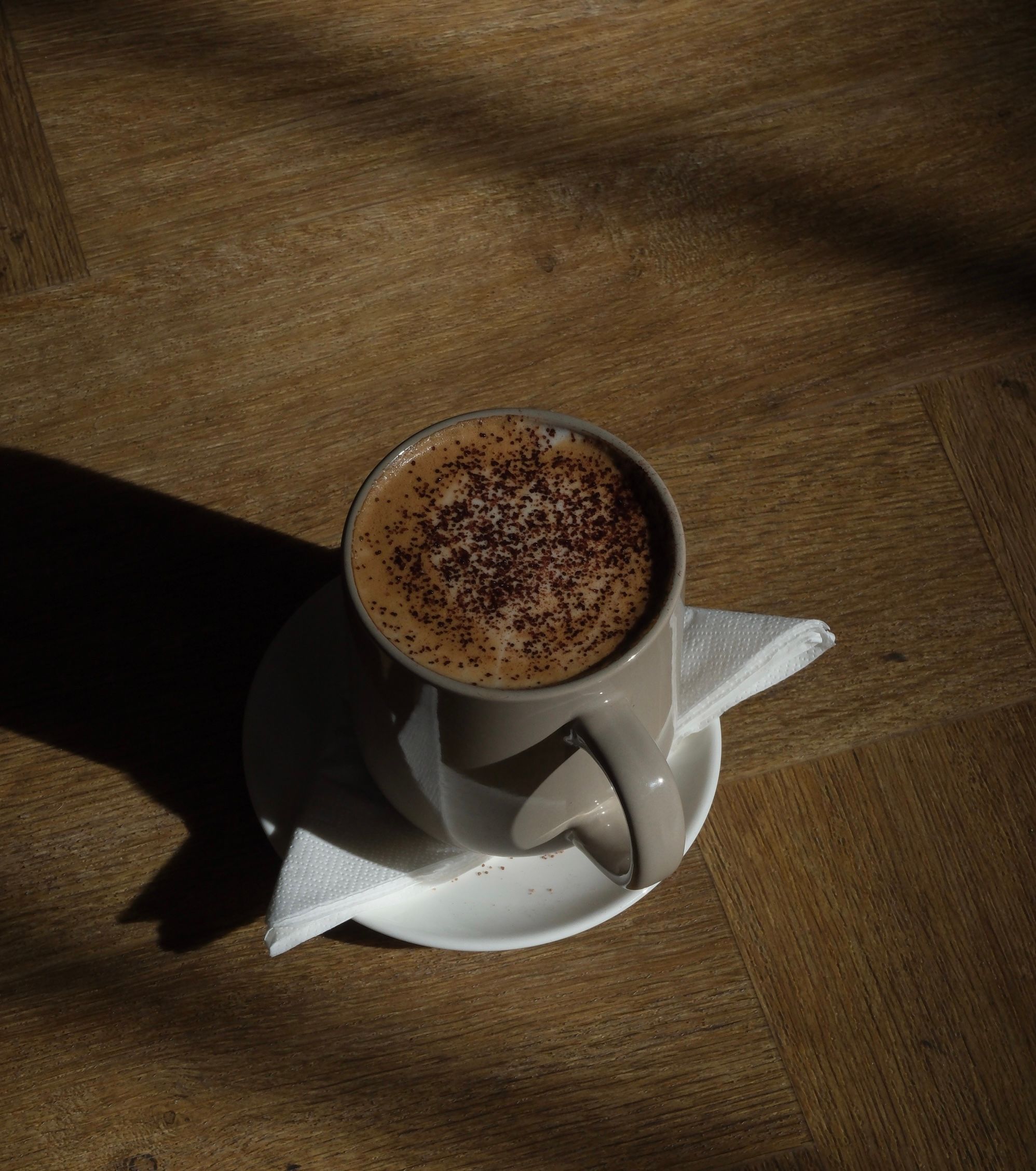 A cappuccino with foamed milk in a cup