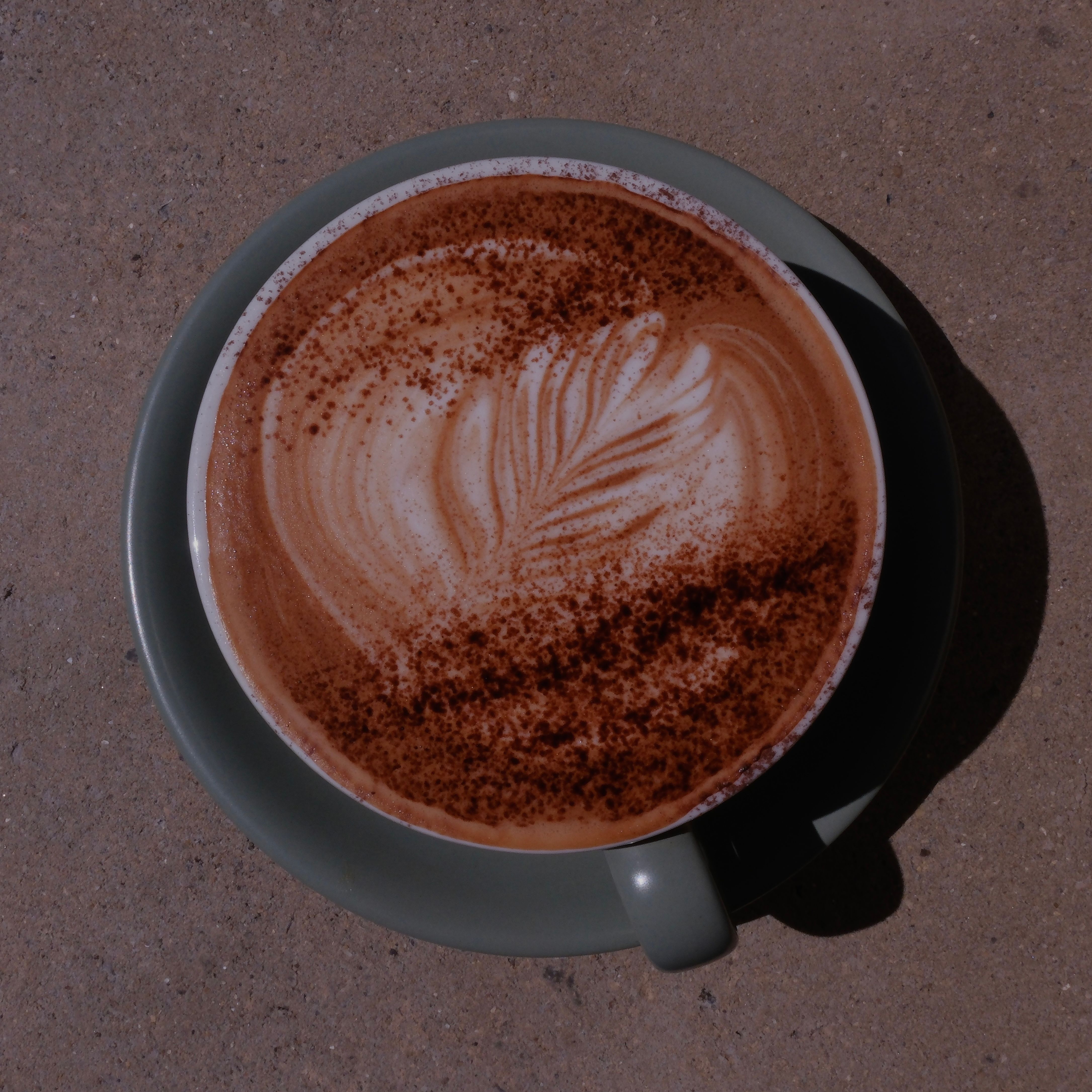 Top-down view of a cappuccino with fern latte art and sprinkled cocoa powder on a light green cup and saucer.