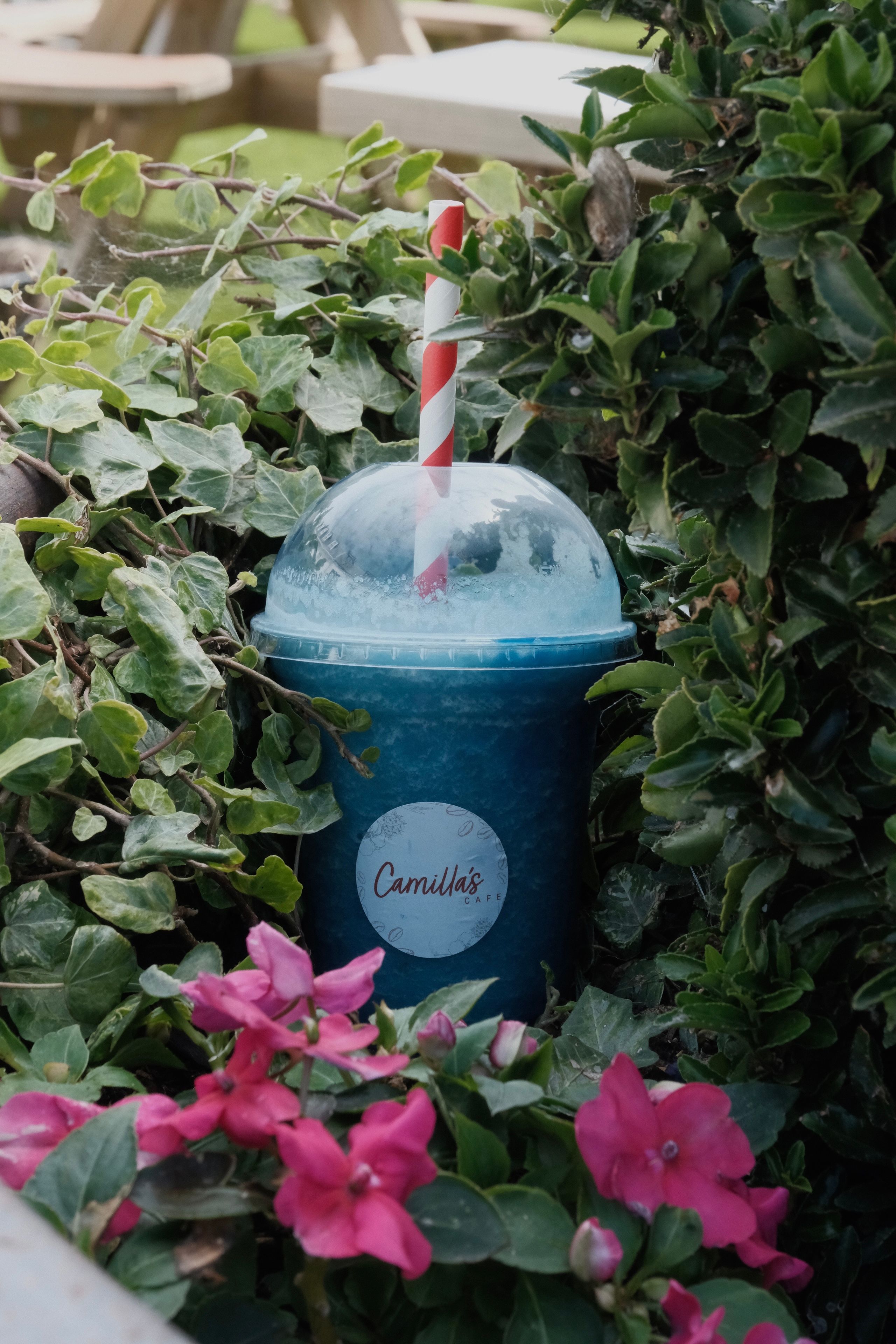 A blue spirulina smoothie in a glass