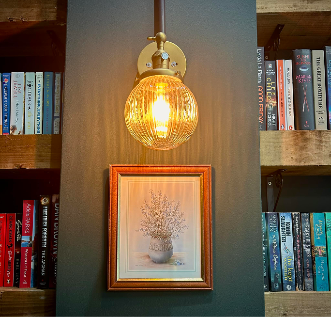 A bright wall sconce with a ribbed glass globe illuminates a framed botanical print, flanked by wooden bookshelves.