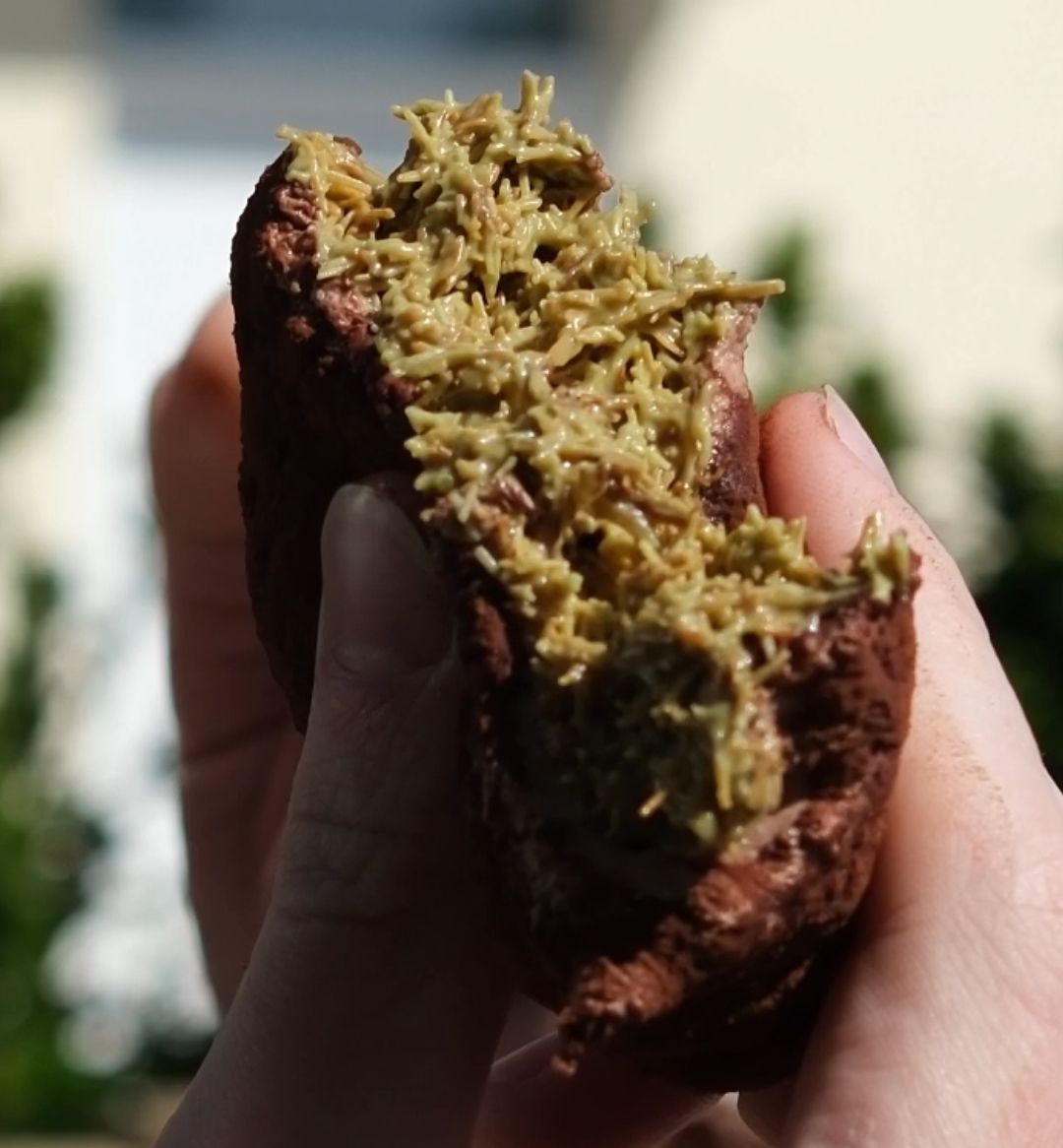 chocolate treat with a shredded Pistachio filling.