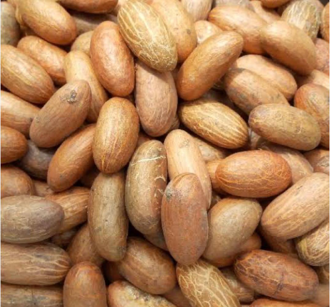 Often called bitter kola or by its scientific name Garcinia kola , this plant is native to West and Central Africa and has been a key part of traditional herbal practices for generations. Interestingly, it is also linked to the early history of Coca-Cola, since extracts of bitter kola were used in some of the drink’s very first recipes. The fruit of the plant is about the size of an orange, with a tangy yellow pulp that surrounds four large seeds. Because the pulp is extremely sour, the fruit is usually collected for its seeds rather than eaten directly. The seeds are typically chewed fresh. Their taste is sharp and bitter, yet aromatic, with a profile that recalls raw coffee beans, followed by a sweet, peppery finish. Once the flavor fades, the fibrous remains are spat out. Bitter kola can also be prepared as a soothing tea. For step-by-step guidance, see the video in the “Further information” tab below, which shows how to brew this distinctive beverage.