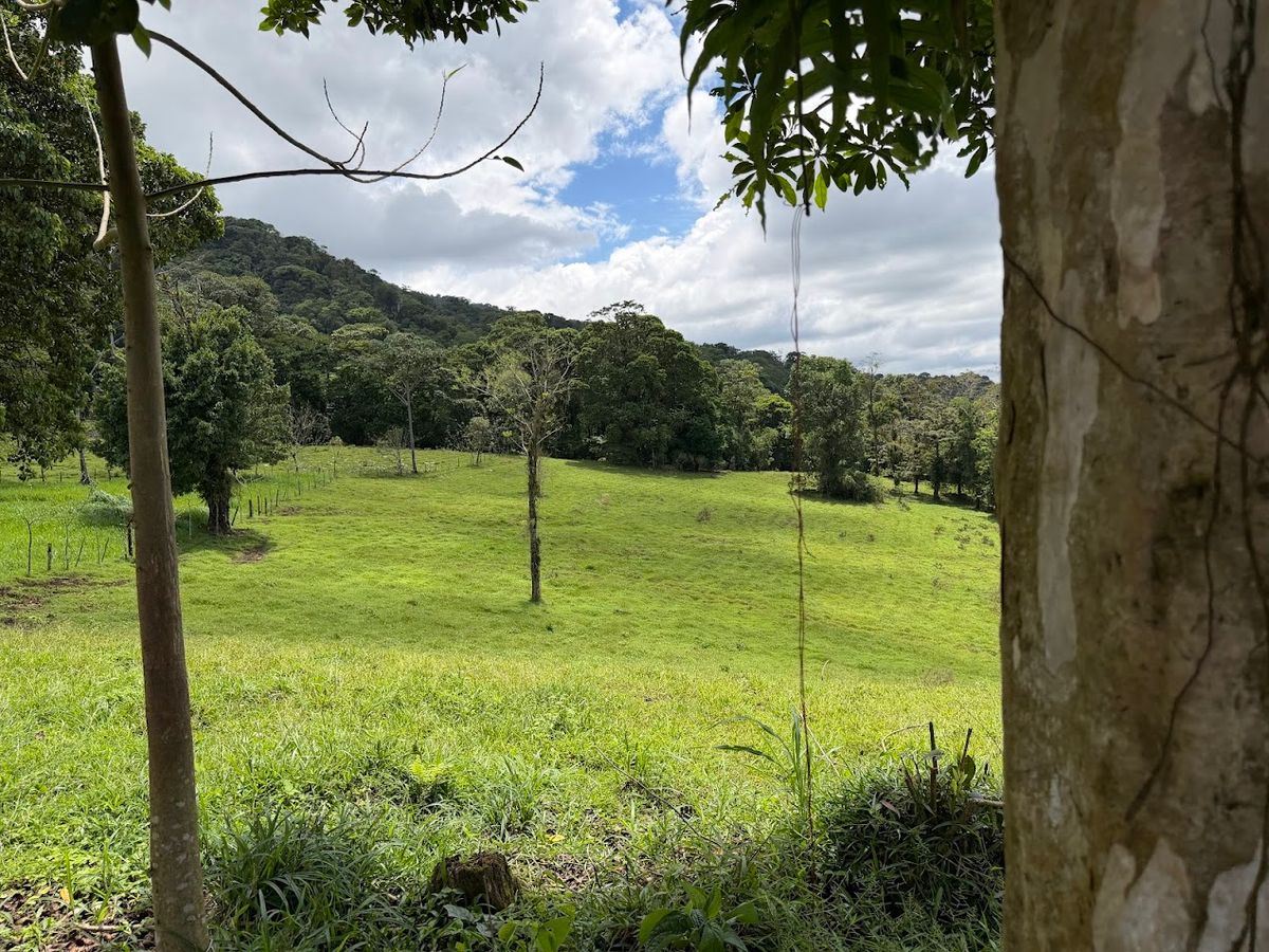 uxury Estate in La Fortuna: Waterfall Views & Mountain Sanctuary