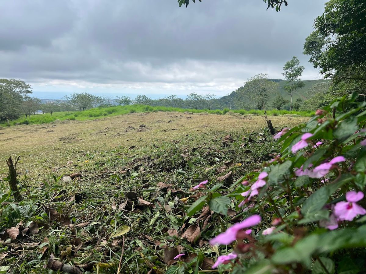 3,000 sqm Flat Lot in San Gerardo: Nature & Investment Opportunity