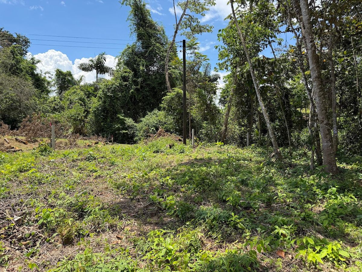 725 sqm Lot in Chachagua: Near La Fortuna & Arenal Volcano
