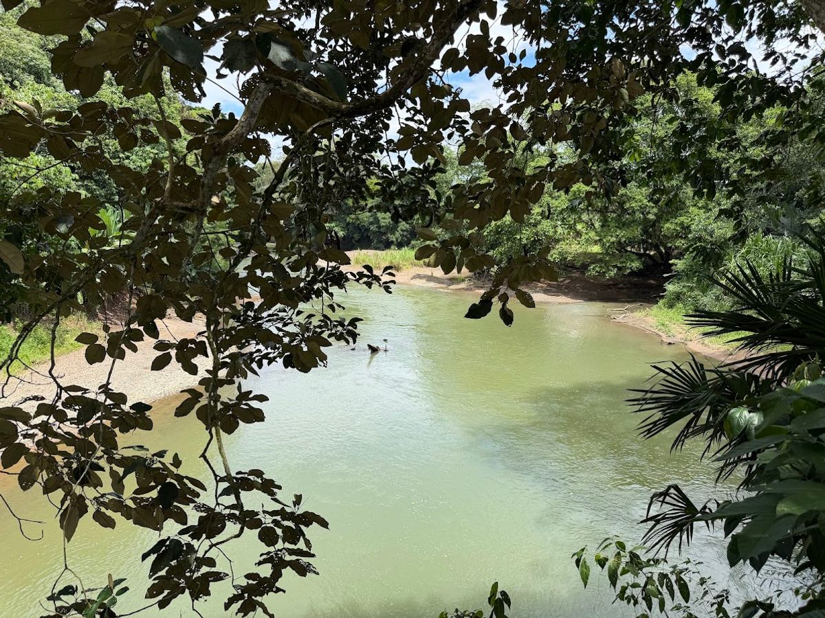 2-Hectare Farm in La Perla, La Fortuna: Commercial Frontage & Peñas Blancas River