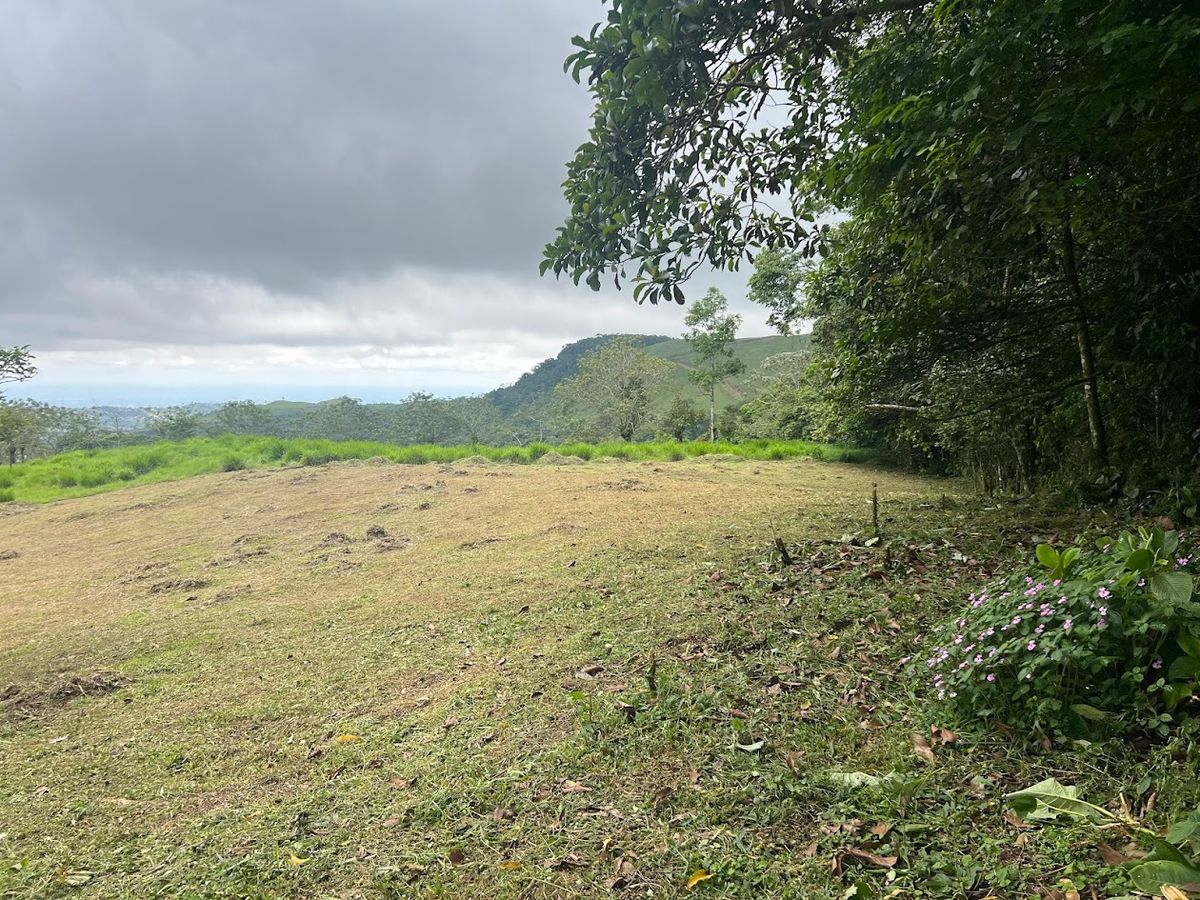 3,000 sqm Flat Lot in San Gerardo: Nature & Investment Opportunity