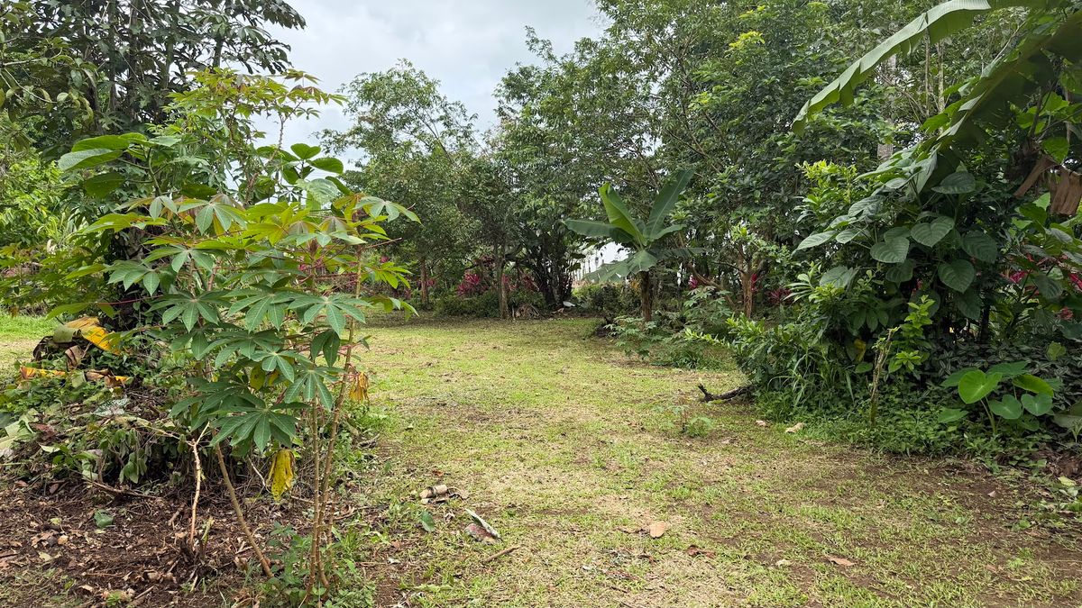 Land for Sale in Las Delicias, Aguas Zarcas: Heritage & Nature