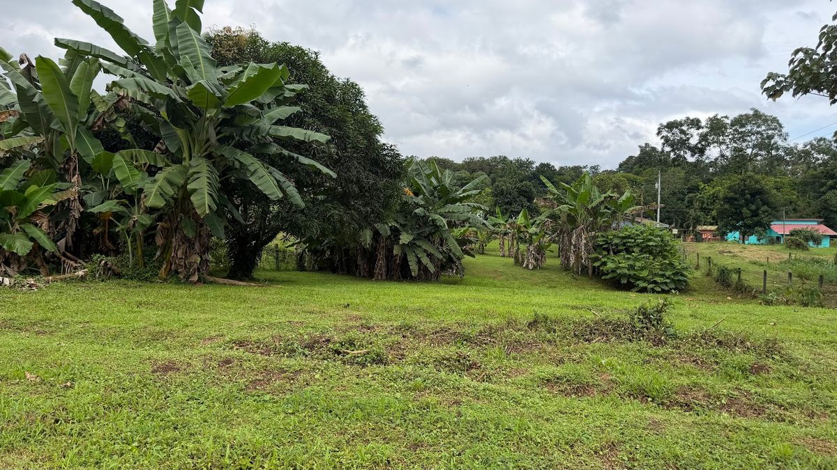 Land for Country Home in La Tigra, San Carlos: Bordering River