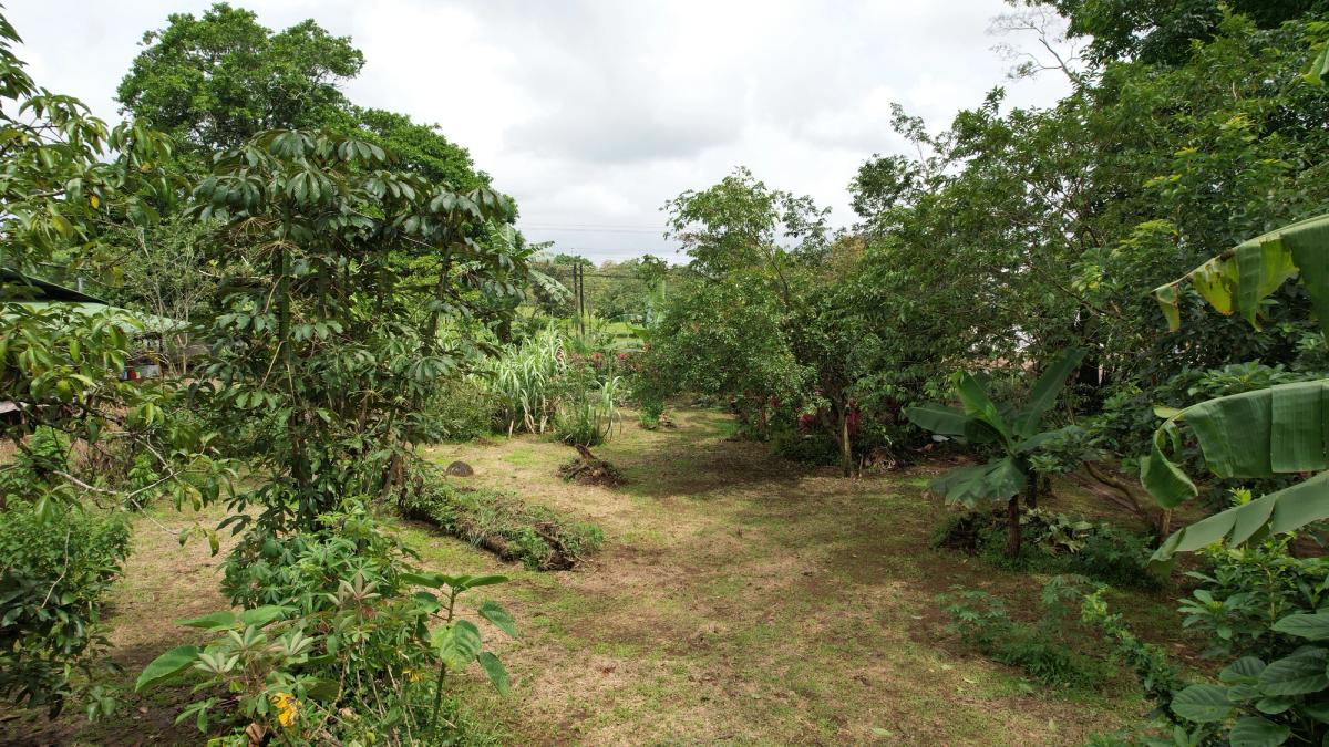 Land for Sale in Las Delicias, Aguas Zarcas: Heritage & Nature