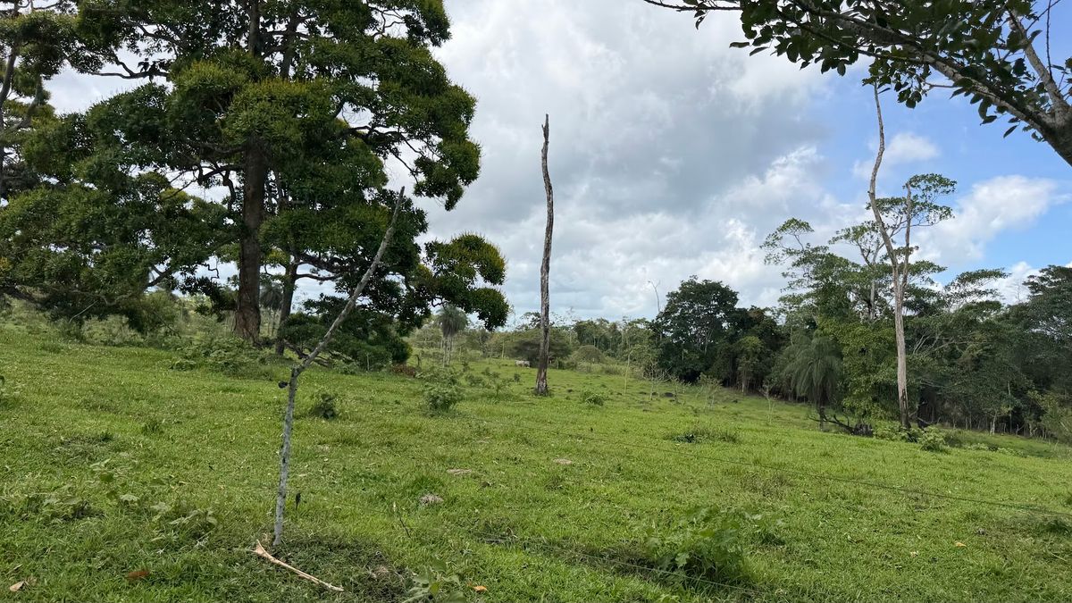 Fully Operational Livestock Development in Cuatro Esquinas