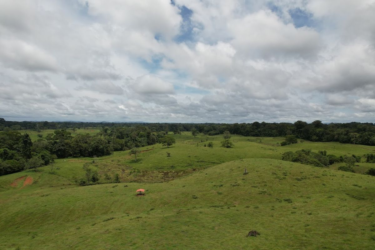 Cattle ranch in Costa Rica, San Carlos