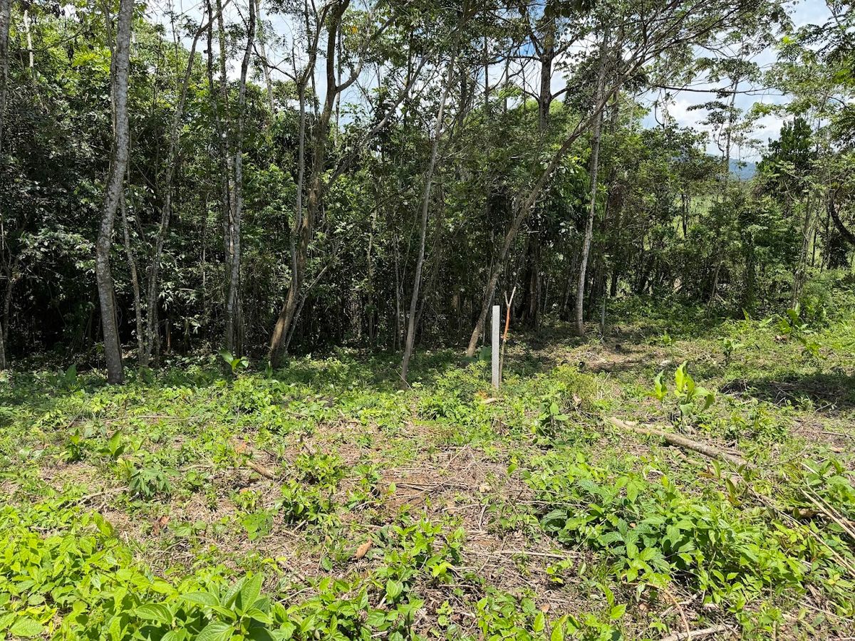 725 sqm Lot in Chachagua: Near La Fortuna & Arenal Volcano