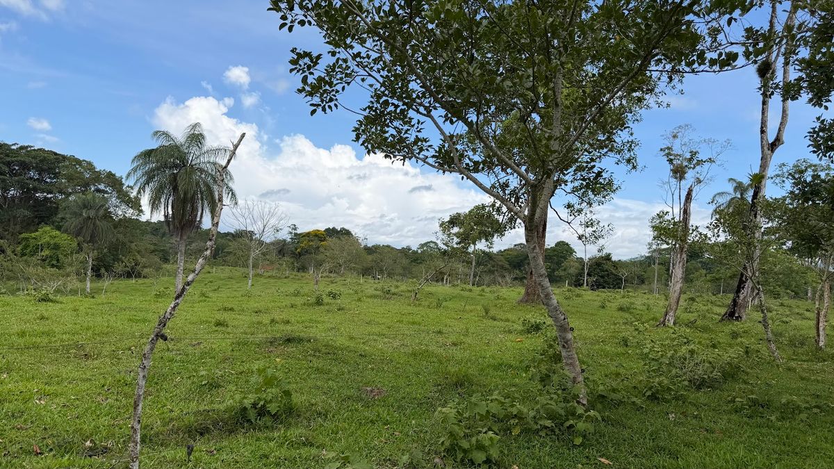 Fully Operational Livestock Development in Cuatro Esquinas
