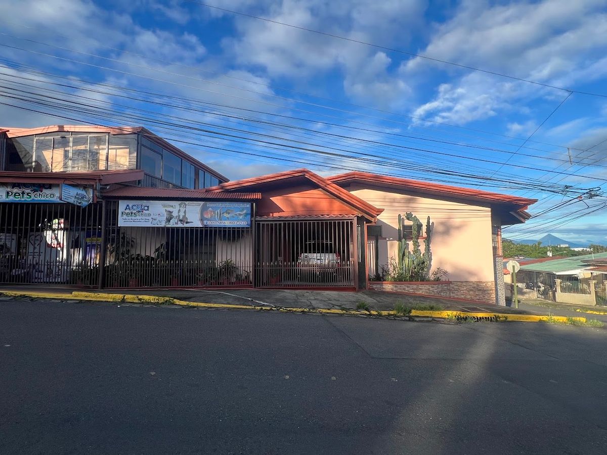 Prime Commercial Property in Downtown Ciudad Quesada: High-Yield Investment