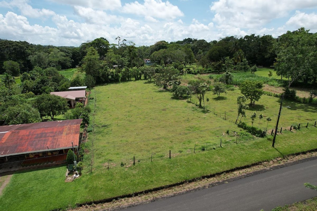 3,000 sqm Flat Lot in La Marina: Ready to Build & Prime Location