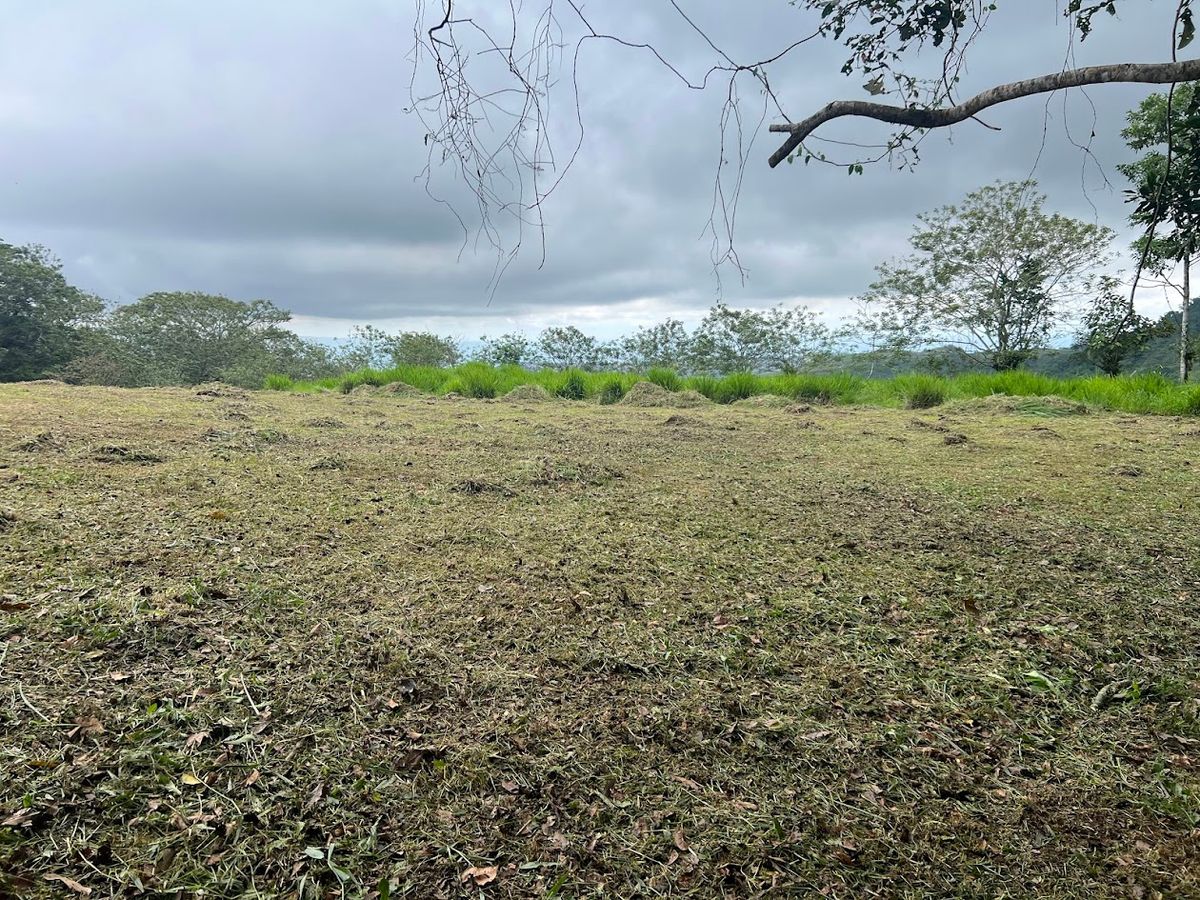 3,000 sqm Flat Lot in San Gerardo: Nature & Investment Opportunity