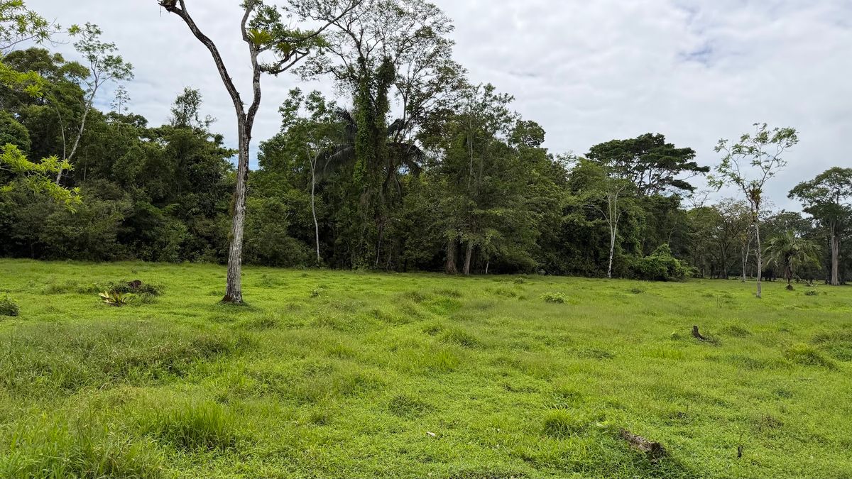 Finca Ganadera entre Upala y Bijagua: Dividida por Vía Nacional
