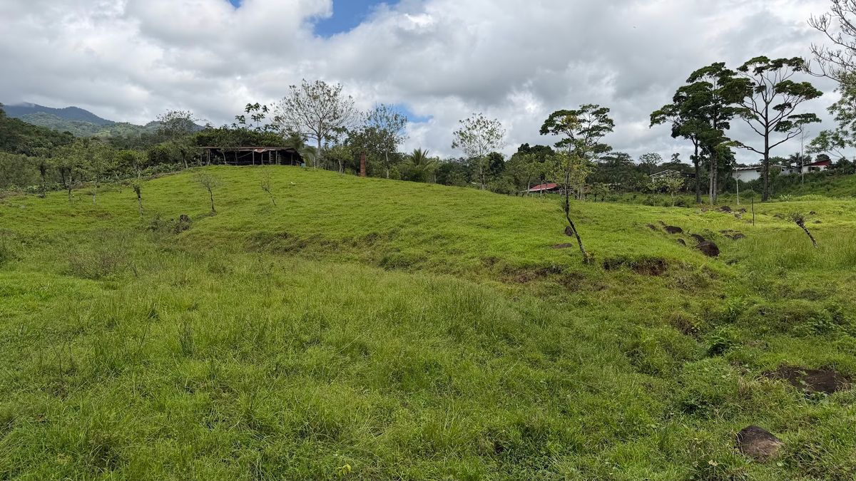 Finca Turística y Agropecuaria en San Carlos: Con Nacientes y Ríos