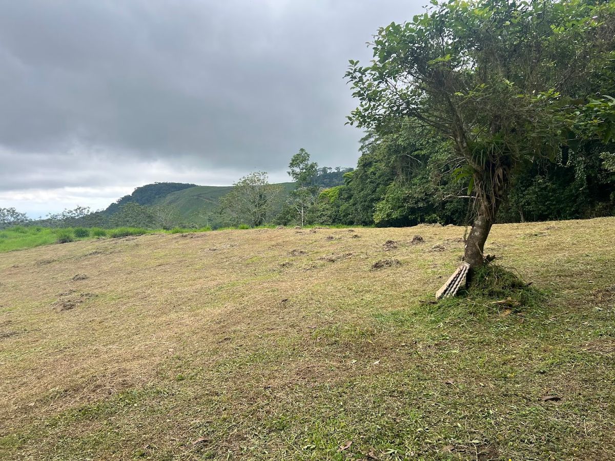 3,000 sqm Flat Lot in San Gerardo: Nature & Investment Opportunity