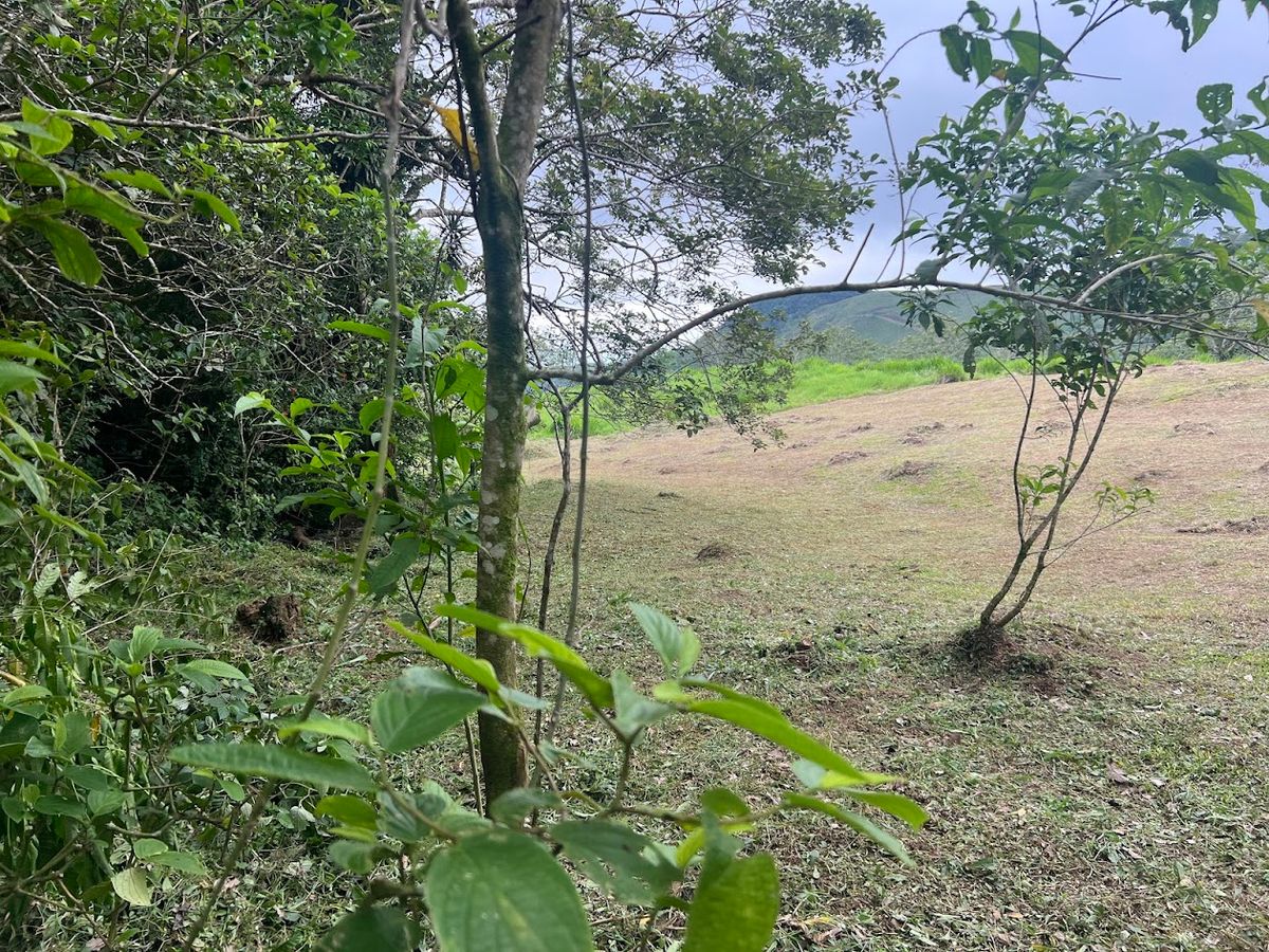 3,000 sqm Flat Lot in San Gerardo: Nature & Investment Opportunity