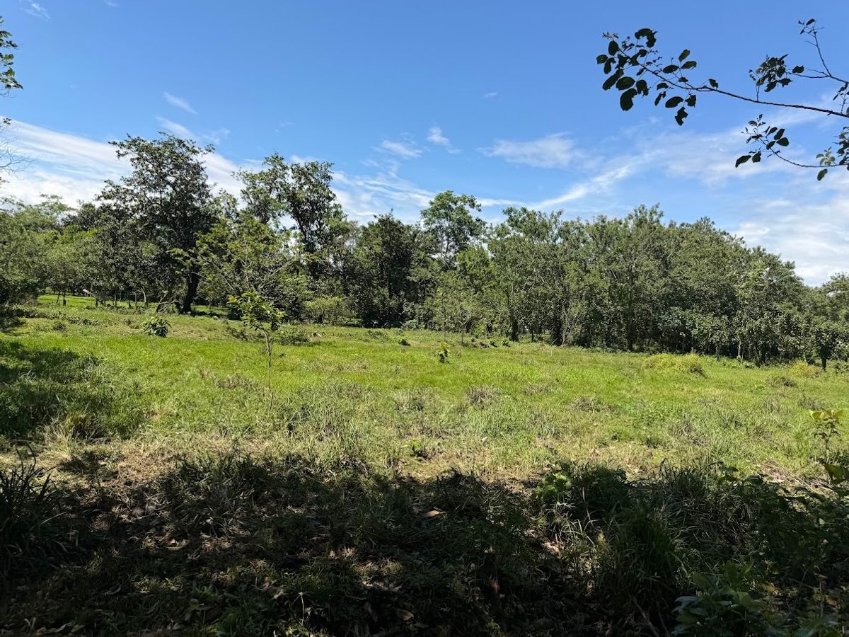 3.6-Hectare Livestock & Commercial Farm in La Vega: Main Road Frontage