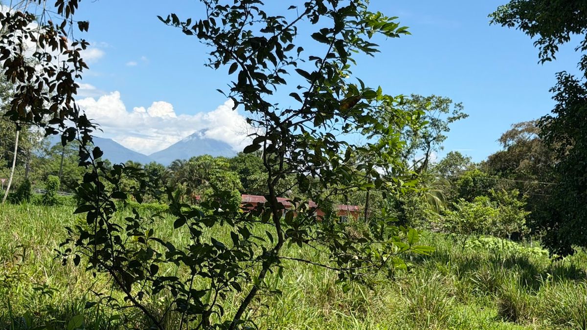 3.6-Hectare Livestock & Commercial Farm in La Vega: Main Road Frontage