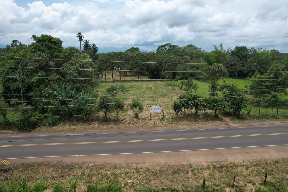 Commercial Land in Boca Arenal: Near Muelle Logistics Hub & Free Trade Zone.