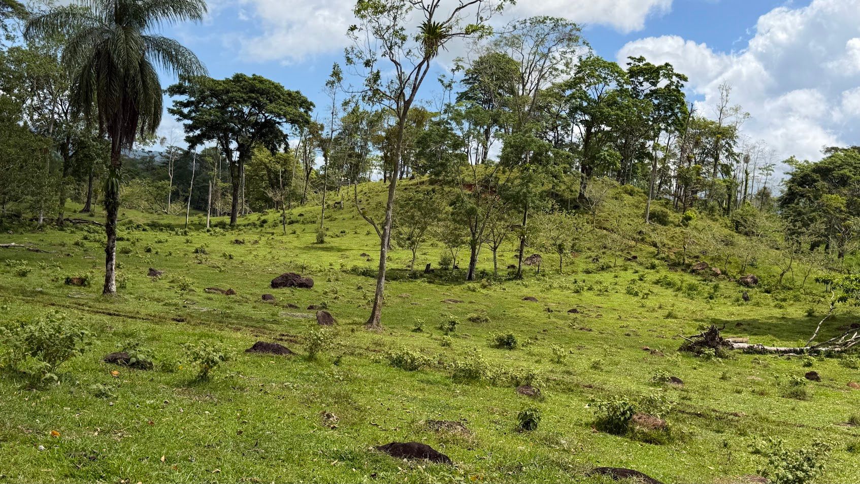 Fully Operational Livestock Development in Cuatro Esquinas