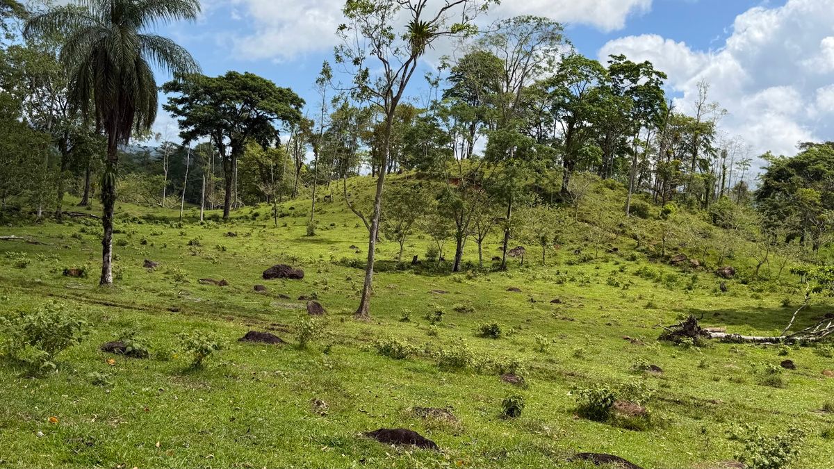 Fully Operational Livestock Development in Cuatro Esquinas