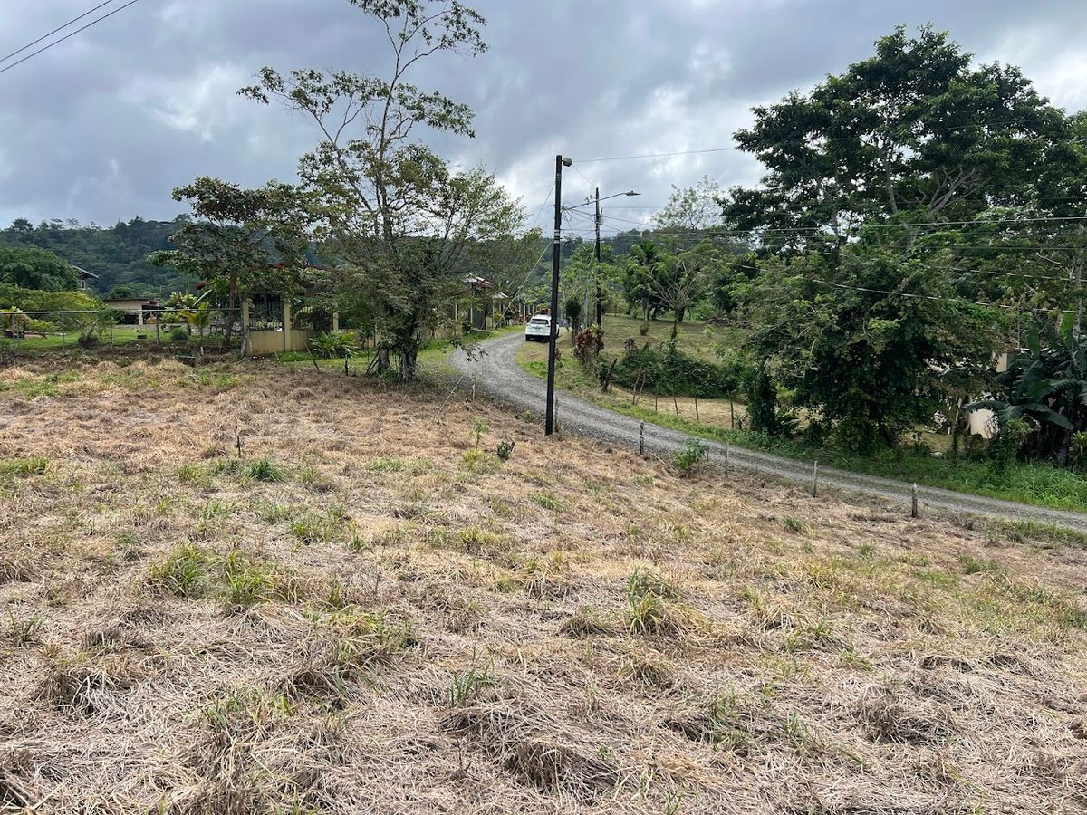 Lotes con precio de Oportunidad en Ciudad Quesada: en Puente Casa