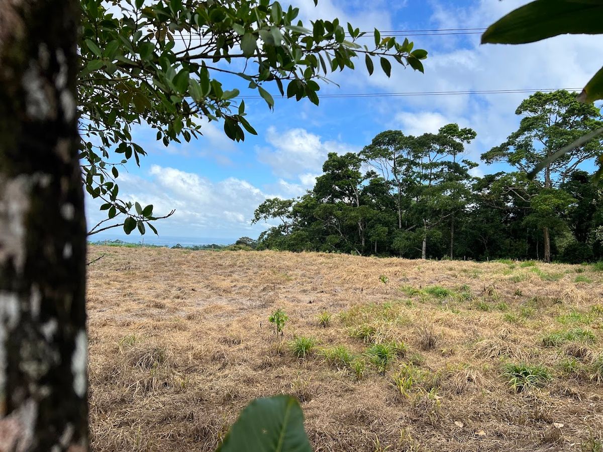 Lotes con precio de Oportunidad en Ciudad Quesada: en Puente Casa