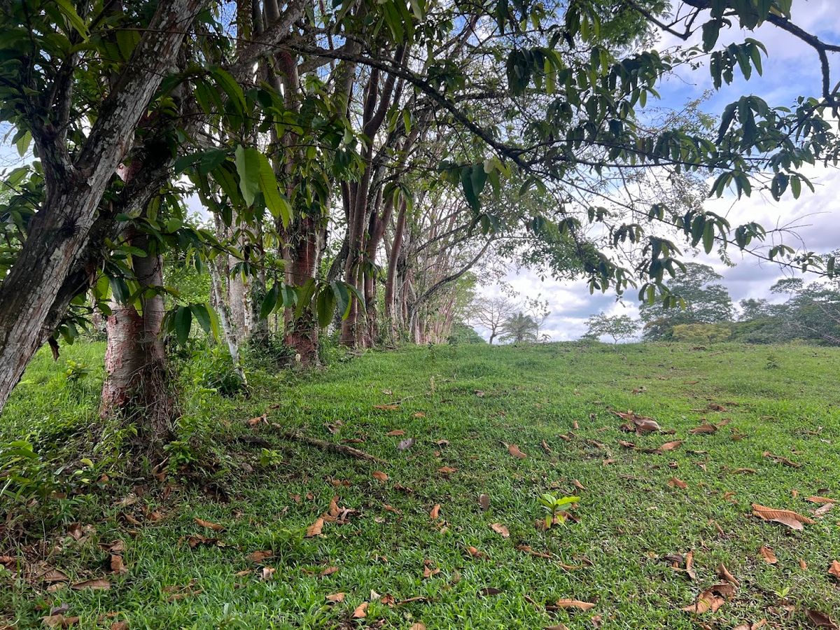 4,036 sqm Versatile Rural Lot in San Jorge de Cutris, San Carlos