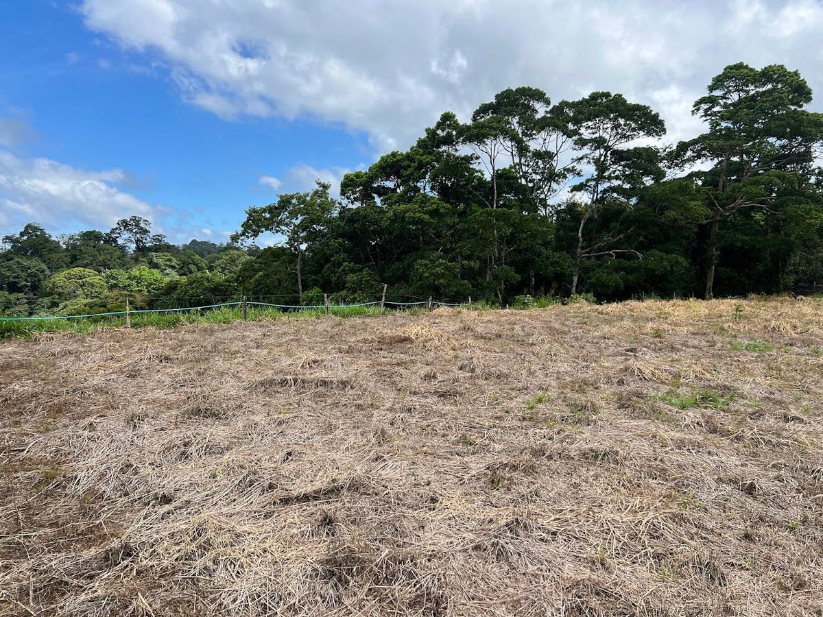 Lotes con precio de Oportunidad en Ciudad Quesada: en Puente Casa
