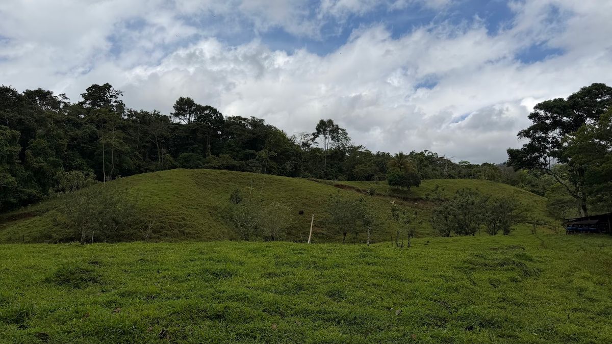 Finca Turística y Agropecuaria en San Carlos: Con Nacientes y Ríos