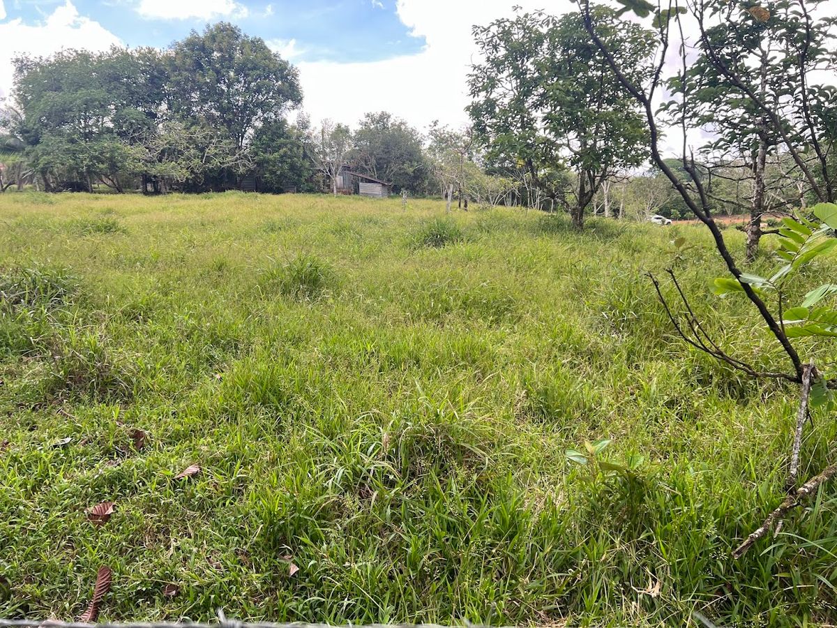 4,036 sqm Versatile Rural Lot in San Jorge de Cutris, San Carlos