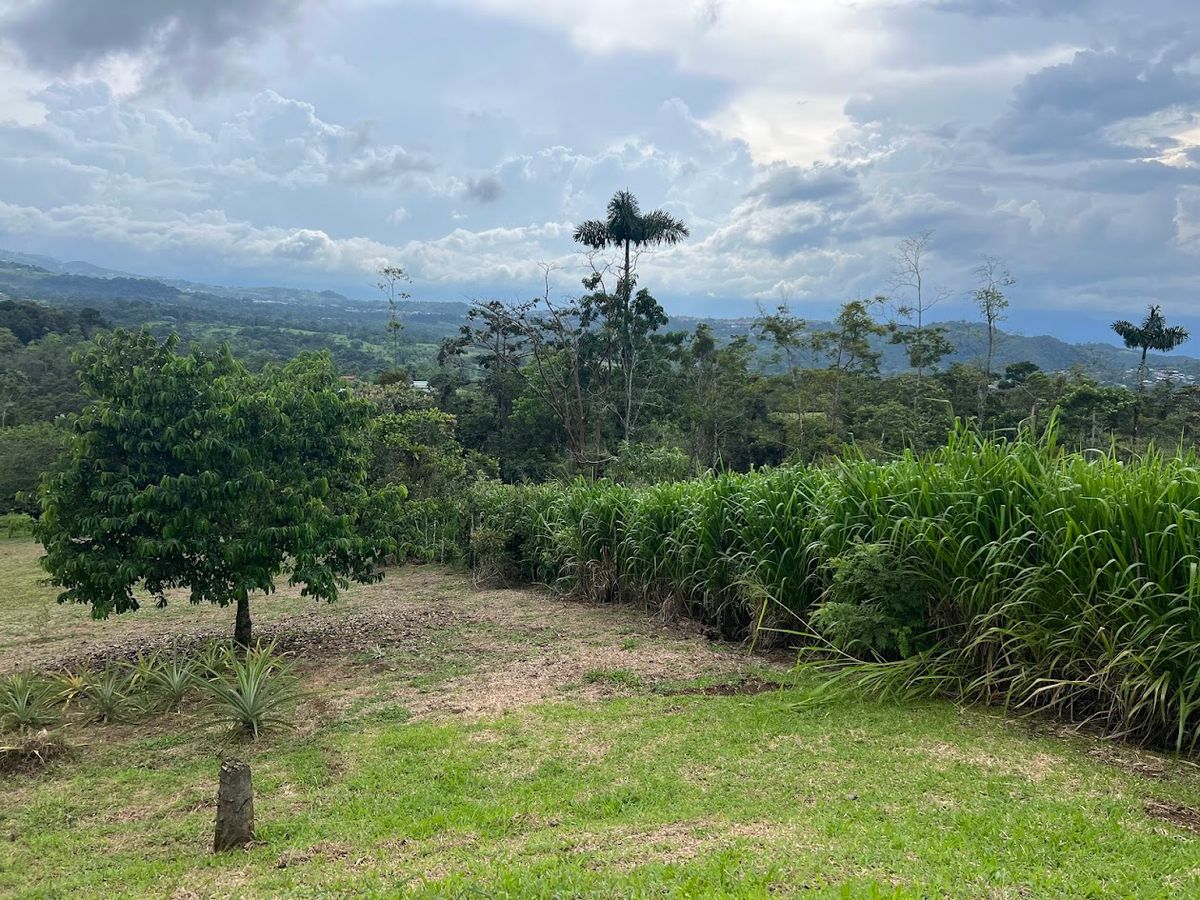 Home with Large Lot for Sale in La Tesalia | San Carlos