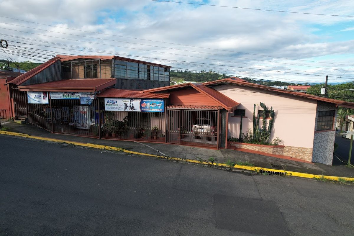 Prime Commercial Property in Downtown Ciudad Quesada: High-Yield Investment
