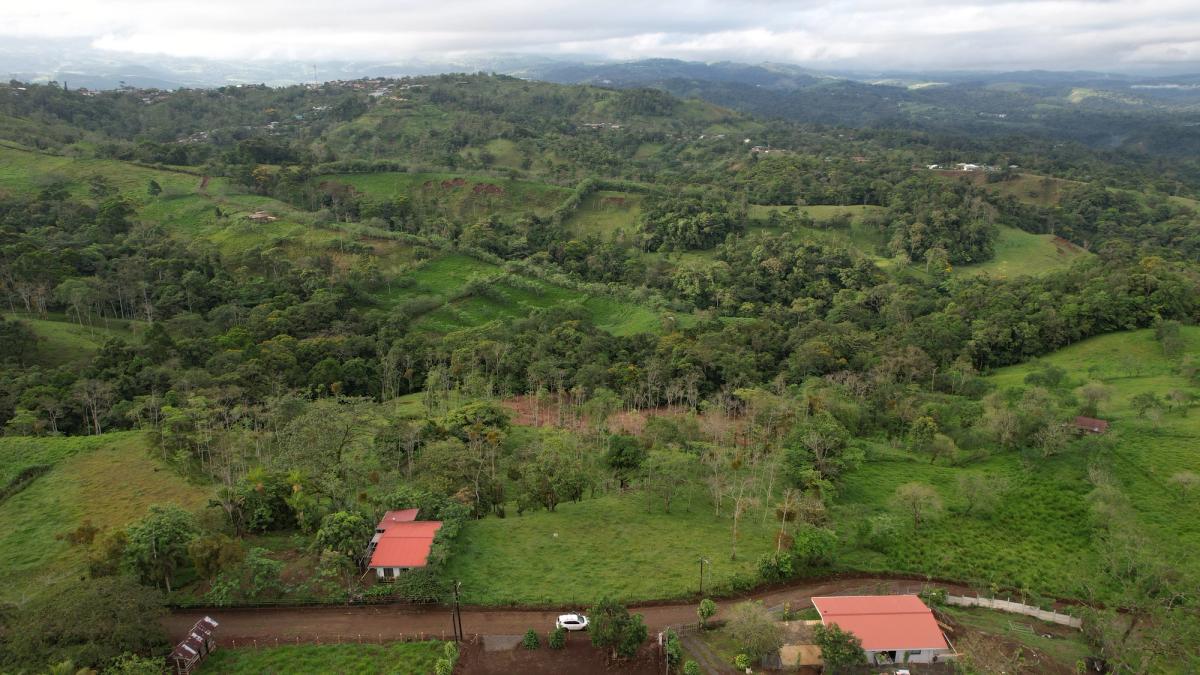 Lotes en Cedral de Ciudad Quesada: Topografía Plana y Paz