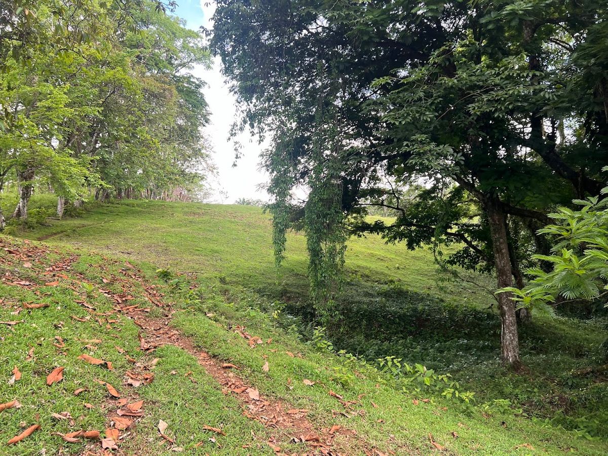 4,036 sqm Versatile Rural Lot in San Jorge de Cutris, San Carlos