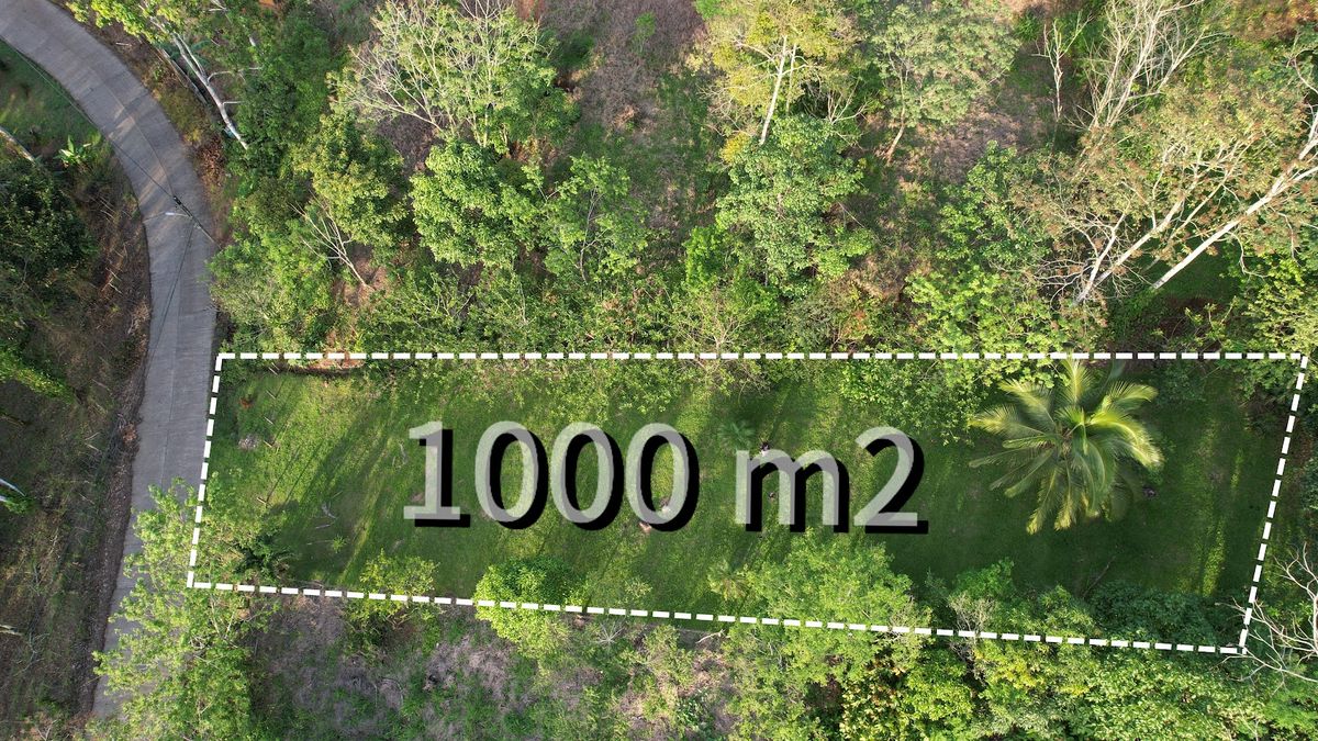 Lot in Cuestillas, Florencia with Panoramic Views