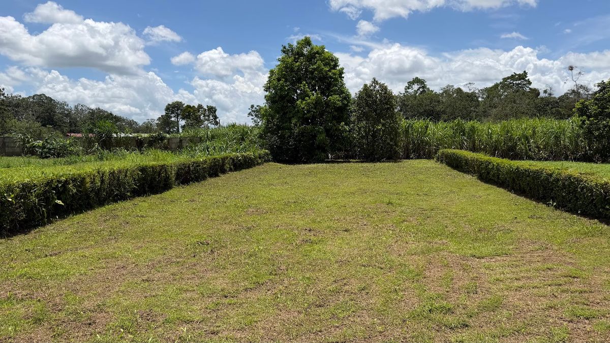 Lote Residencial de 429 m² en Florencia: Privacidad y Gran Potencial