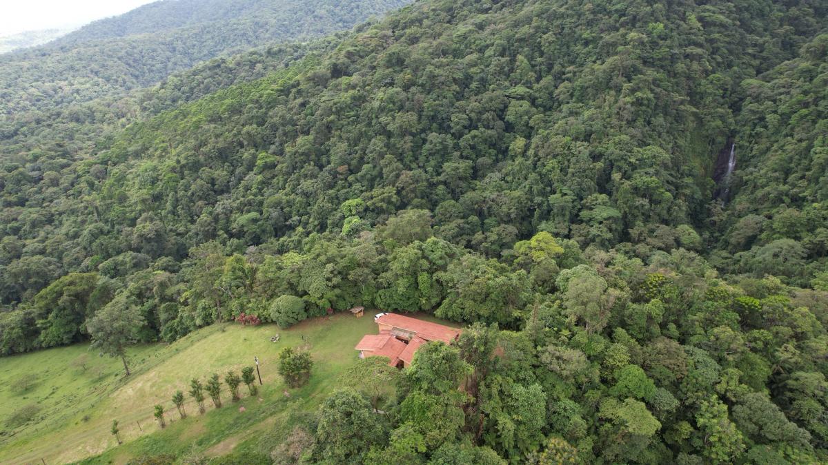uxury Estate in La Fortuna: Waterfall Views & Mountain Sanctuary